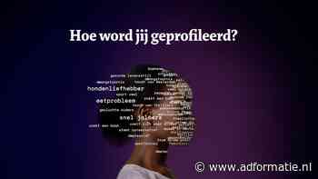 Cookies: je wil niet weten wat ze van je weten