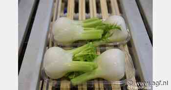 Venkelseizoen in volle gang