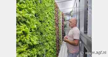 "Afzet verse sla is geen probleem op Curaçao"