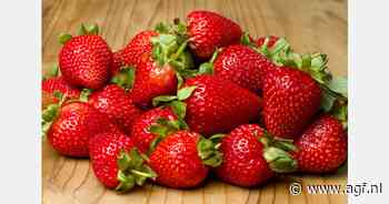 MRL-overschrijding in aardbeien uit Egypte