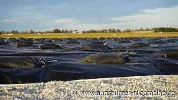 PFC-Belastung im Boden und Wasser: Bima verlängert die Einspruchsfrist