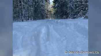 Gravenhurst ends state of emergency