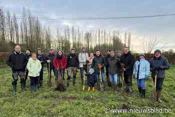 Vrijwilligers plantten mee een stukje Hernedries aan