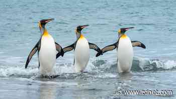 The 3 most Windows-like Linux distros you can try because change is hard