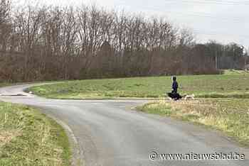Stafford die hond doodbeet krijgt spuitje: “Ik hoop dat nu de rust in ’t Schoot wat kan terugkeren”
