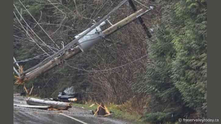 Motorist takes out utility pole Monday, tries to flee crash scene