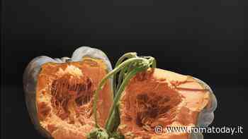 Luciano Ventrone e la sua scuola ai Musei di San Salvatore in Lauro