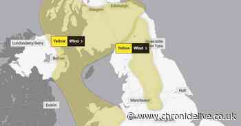 Met Office issues 11-hour wind warning for parts of the North East with gusts of 60mph forecast