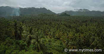 A Local’s Guide to Siargao, Philippines