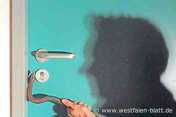 Einbrecher beschädigt Tür: Frau kommt nicht aus ihrer Wohnung heraus
