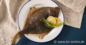 Guter-Fisch-Liste 2024: Nur noch neun Fischarten uneingeschränkt zu empfehlen