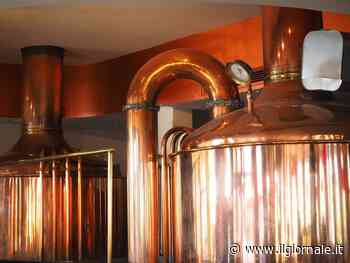 Manovra, c'è lo sconto sulle accise per i birrifici artigianali. Carloni: "Così si aiutano gli agricoltori"