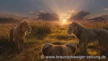 Disneys Löwenfilm „Mufasa“: Böser Bruder? Guter Bruder!