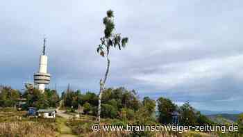 Millionenschwere Investition im Harz: Jetzt steht der Ravensberg-Deal