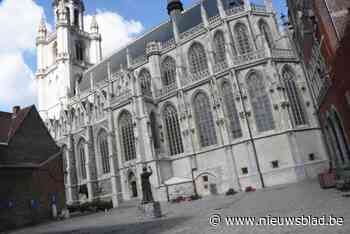 Basiliek van Halle weer helemaal uit de steigers: “Net op tijd voor Kerstmis”