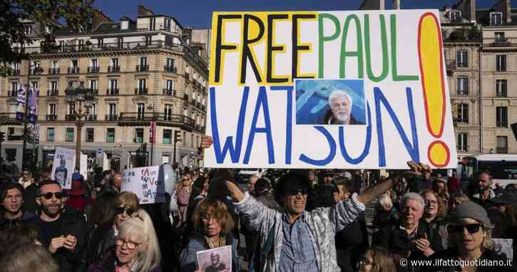 Paul Watson è libero! Grazie al suo caso mi sono avvicinata al mondo delle creature marine