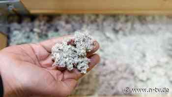 Wärmeverluste vermeiden: Hohlräume im Haus füllen: Was bringt die Einblasdämmung?