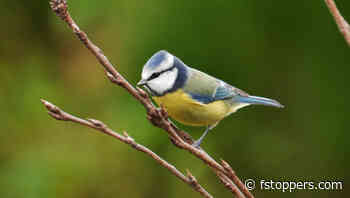 Is the Tamron 28-300mm f/4-7.1 Di III VC VXD the Ultimate Travel Lens?