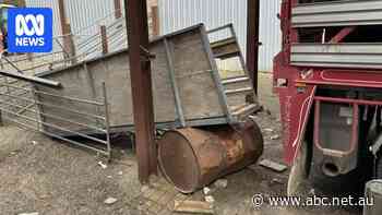 Truckies fed up with 'major' safety issue get creative to highlight danger