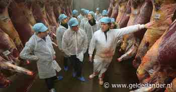 Omstreden vleesfabriek vangt bot: eigen schuld dat bloed van runderen in oppervlaktewater kwam
