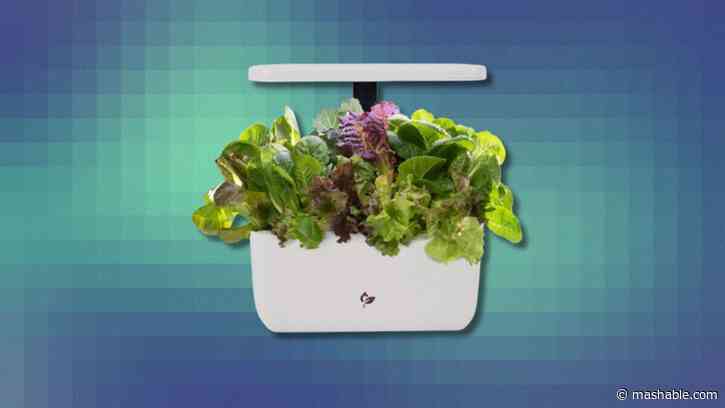 The AeroGarden Harvest 2.0 is half off and makes for an excellent last-minute gift