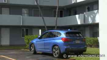 Mom arrested after 5-year-old found screaming for help in car in Ives Estates: Police