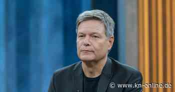 Robert Habeck will nicht an TV-Duell mit Alice Weidel teilnehmen