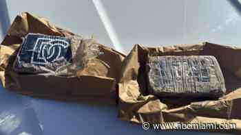 Two bricks of suspected cocaine found washed ashore in the Florida Keys