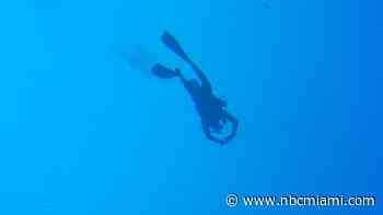 Woman dies in diving incident off Key Largo: Sheriff