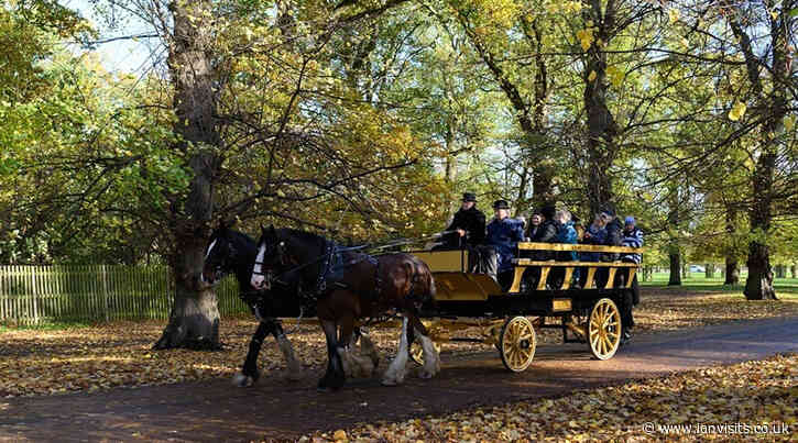 Tickets Alert: Horse carriage rides over Christmas