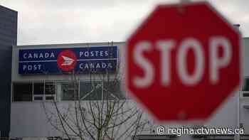 Sask. local businesses seeing holiday sales dip due to Canada Post strike