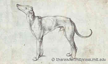 Screwball Tragedy: Considering Kafka’s Funniest Story