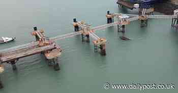 Holyhead port cancels all ferry services until next year