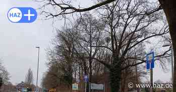 Baustelle Badenstedter Straße in Hannover steht kurz vor dem Abschluss