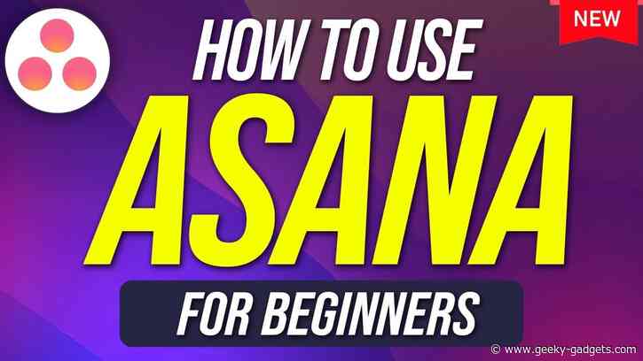 Get Started with Asana Today: A Step-by-Step Guide for Beginners