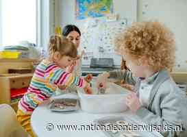 Vooral oudere medewerkers kinderopvang halen taaleis niet