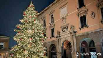 Why Christmas trees in Europe are so much cheaper than in Canada