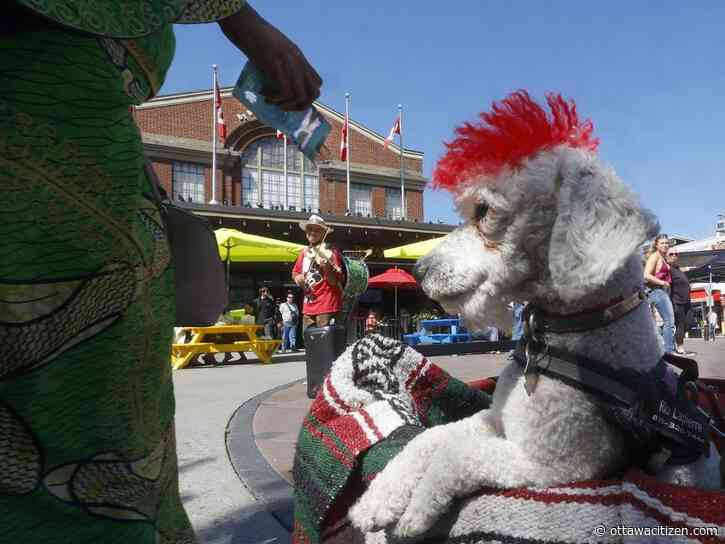 A ByWard Market busker explains why we should be more proud of them