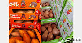 "Export van zoete aardappelen naar Europa is verdubbeld"