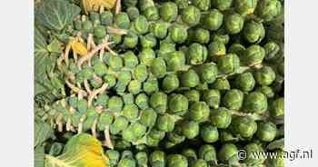 "Cateraars kopen spruiten nu in supermarkt en niet bij grossiers"