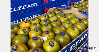 "Hype van choco-sinaasappelen is wel een beetje voorbij"