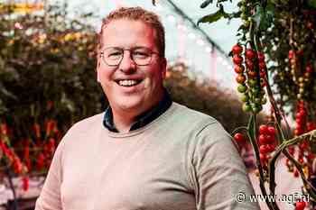 Tomaten uit het kleine dorpje Tinte gaan de hele wereld over