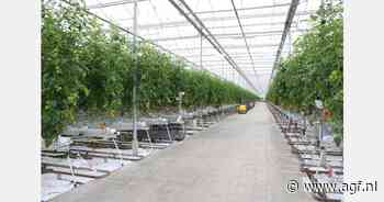 Stijging inkomen gemiddeld glastuinbouwbedrijf compenseert stijging kosten