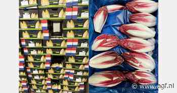 "Vooral de verkoop van kleine 'hamkaaswitlofjes' op schaaltjes gaat hard richting Kerst"