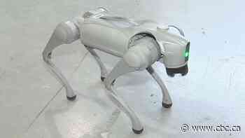 Photon the Robot Dog helping build better buildings in Manitoba