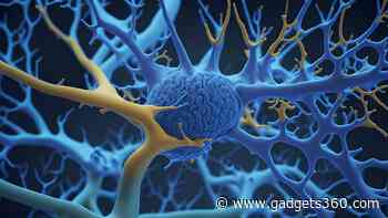 New Study Finds Axons May Resemble 'Strings of Beads' Instead of Smooth Lines