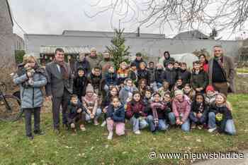 95 kerstbomen nodigen buurtbewoners uit om elkaar te ontmoeten