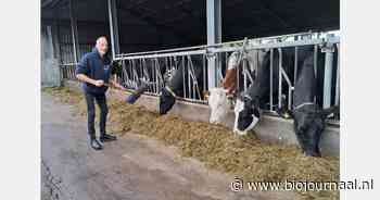 Omschakeling naar biologisch melkveebedrijf succesvol verlopen