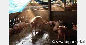 Vlaams onderzoeksrapport: 'Reductie van ammoniakemissies in de biologische veehouderij'