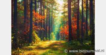 Wijziging intern salderen voor natuurvergunning